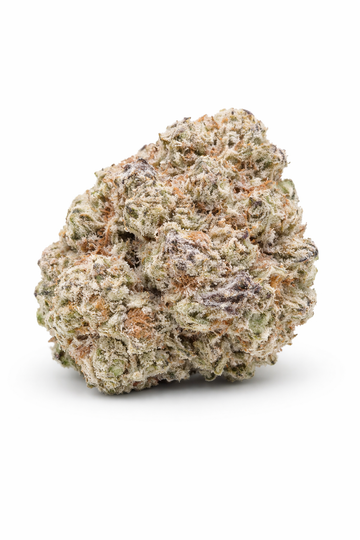 Oreo Stomperz (O25)