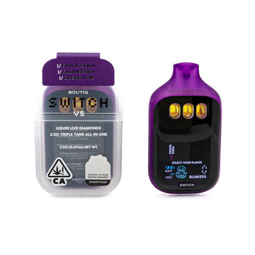 Boutiq V5 Disposable 2G