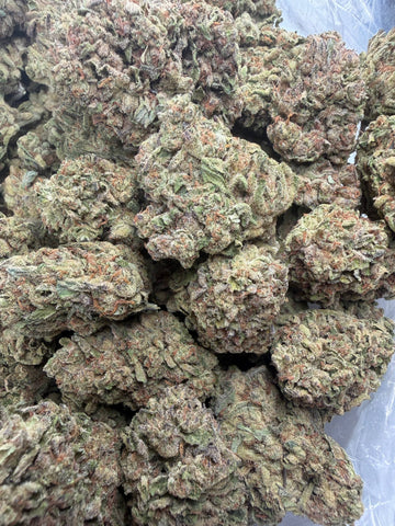 Icey Frost